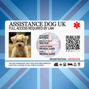 ASSISTANCE DOG UK - SERVICE ID BADGE FOR UNITED KINGDOM GREAT BRITAIN AREA ADi - Picture 1 of 3