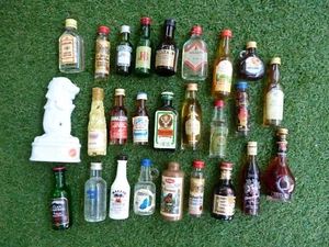 Lot 26 Mignonettes Alcool Mini Bouteilles Malibu JB Absolut Vodka Cognac  ... - Bild 1 von 7