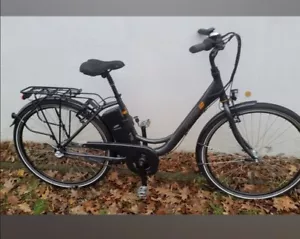 e bike Tiefeneinstieg Mittelmotor Prophete 36 Volt 10 Monate alt 5 Km gelaufen - Bild 1 von 1
