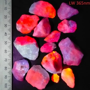 Fluorescent Sodalite Hackmanite loose rough crystal chips bulk bundle lot 505ct - Picture 1 of 7