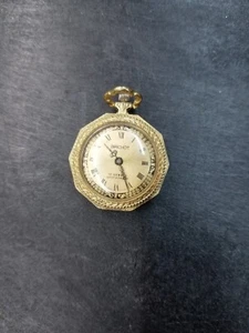Brichot Pocket Watch 17 Jewels Shockproof - Picture 1 of 2