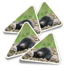 4x Triangle Stickers - Talpa Europaea Mole #3477