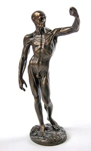 Anatomical Study Flayed Male Man Anatomy L'ecorche Statue Draw From Houdon 10H - Picture 1 of 5