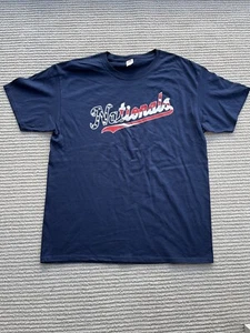 WASHINGTON NATIONALS Patriotic Flag Tee Shirt Large SGA 7/31 USPS Shipping - Picture 1 of 4