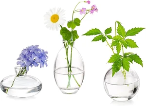Glass Bud Vases Set of 3, Cute Clear Small Vases Handmade, Mini Glass Flower Va - Picture 1 of 12
