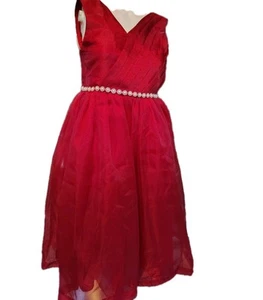 MITUN SEMI Youth Red Sparkly Flower Girl Dress, Size 12-15  - Picture 1 of 7