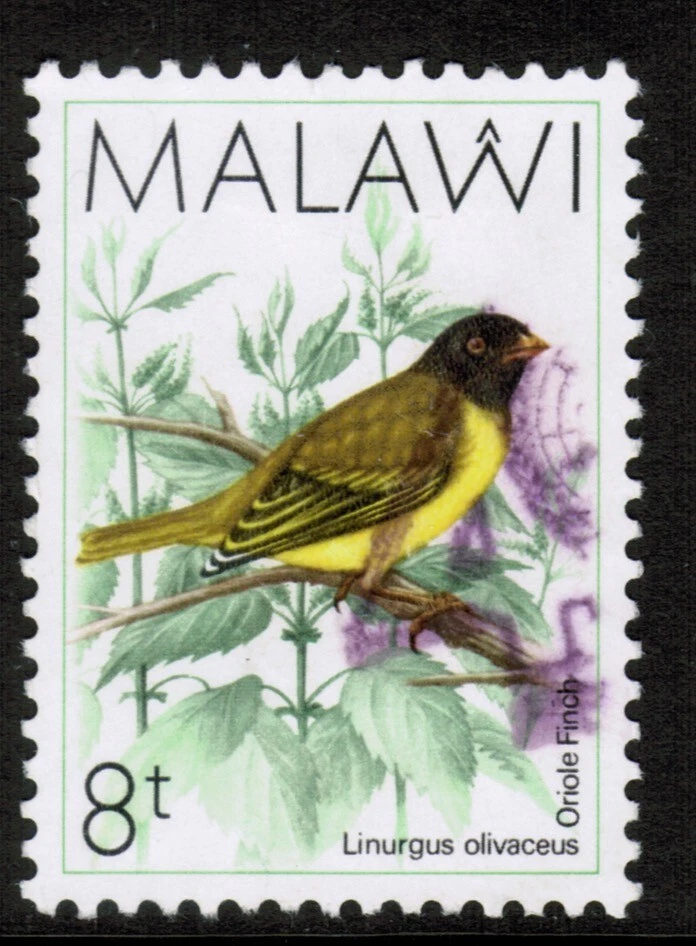 Malawi  1988 SG793 8t Oriole Finch Birds Used - Image 1 of 1