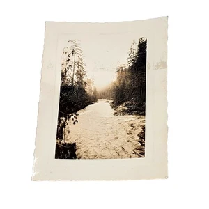 Vtg B&W Original Photo Found Beautiful Running River Woods Forest Trees Snapshot - Picture 1 of 4