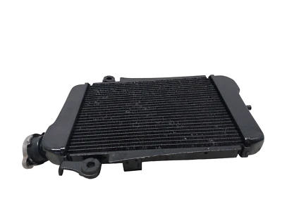 Wasser Kühlkörper Honda SH 300 2012 19010KTWA61 - Image 1 of 4