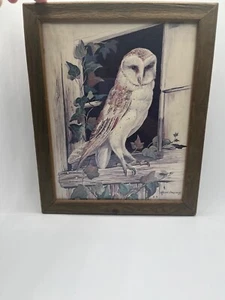 VTG - MCM Vintage Owl Nice Framed Picture Wall Art 9" X 11.5”Signed - Picture 1 of 4