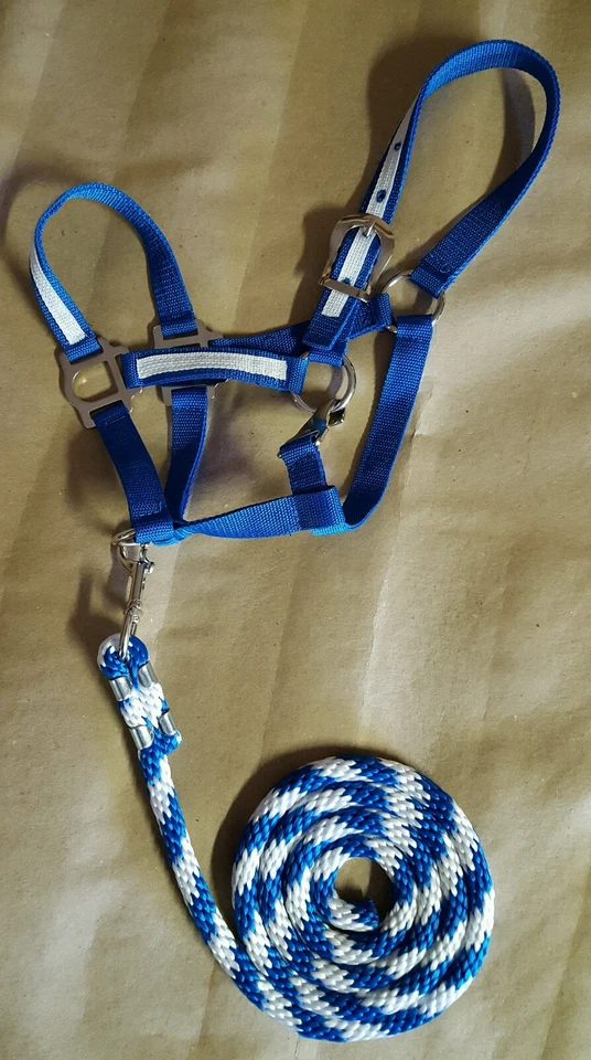 Nuevo Halter de Nylon Grande Pony Azul con Superposición Blanca con Plomo de Bastón de Caramelo a Juego Foto 1 de 1