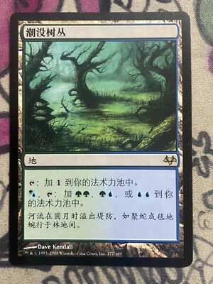 MTG Flooded Grove Chinese Shadowmoor (177/180) Regular Rare Magic The Gathering - Image 1 of 2