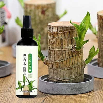 Brasilianisches Holzpflanzenfutter 100 ml Lucky Bamboo Flüssigdünger HEISS 202 - Bild 1 von 4