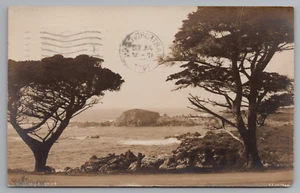 RPPC Monterey CA Scenic 17 Mile Drive by the Seaside California Postcard 1910's - Picture 1 of 5