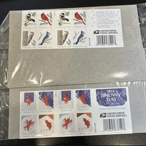 Forever Stamp Sheets- Birds In Winter And The Snowy Day-40 Stamps- S34 - Picture 1 of 9