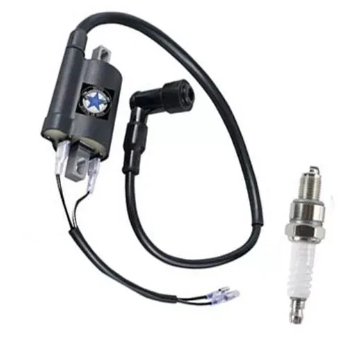 Bobina de encendido + bujía para Arctic Cat 250 300 Alterra 300 2006-2017 Foto 1 de 3