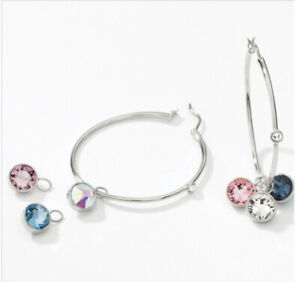 💎Touchstone Crystal Hoop Earrings Multicolor Rhodium Versatile New Condition
