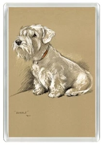 SEALYHAM TERRIER SEATED DOG ART PRINT NOVELTY ACRYLIC FRIDGE MAGNET GIFT - Foto 1 di 1