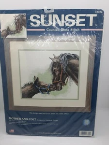 MADRE Y COLT kit de punto de cruz PUESTA DE SOL Dimensiones EE. UU. caballos - Imagen 1 de 3