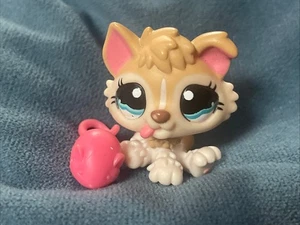 Littlest Pet Shop 1013 Lps Auténtico Husky Cachorro Bebé Perro Crema Ojos Azules - Imagen 1 de 5