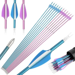 31" SP400-1000 Pure Carbon Arrows Rubber Vanes Feathers Target Shoot Archery Bow - Picture 1 of 22