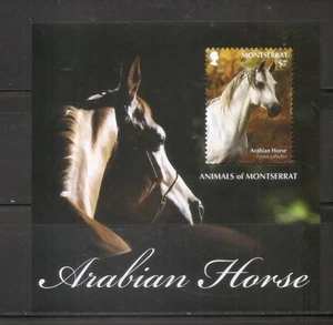 Montserrat - Animals Of Montserrat - Arabian Horse - Souvenir Sheet .MNH - Picture 1 of 1