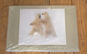 Biglietti di Auguri Thomas Mangelsen POLAR DANCE Confezione 24 Orsi 1990 Hudson Bay Art - Foto 1 di 4