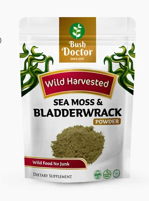 BUSH DOCTOR Sea Moss / Irish Moss and Bladderwrack Wild Food Powder Dr Sebi Wild Harvested