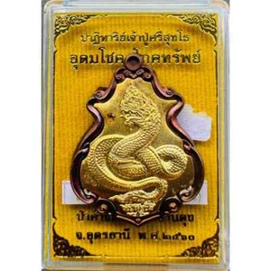 Naga God Srisuttho Coin Kham Chanod Temple Talisman Medal Thai Buddha Amulet - Picture 1 of 5