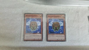 Yugioh yu gi oh Winged kuriboh sdhs-en016 1st edition good x2 - Foto 1 di 1
