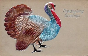 POSTCARD THANKSGIVING EMBOSSED REALLY COLORFUL TURKEY GOBBLER - 1908 - Picture 1 of 2