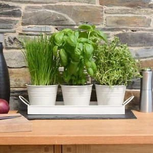 Kitchen Windowsill Metal Herb Pots With Tray Set Window Sill Garden Plant Indoor - Picture 1 of 7