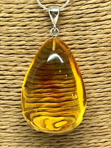 AMBER PENDANT INSECT Gift Fossil Baltic Natural Yellow Gemstone Genuine 8g 17438 - Picture 1 of 12