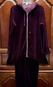 Vtg Womens Velour Tracksuit Jogging Chico Jacket Sz 2 Slacks Sz 1 NWT - Picture 1 of 6