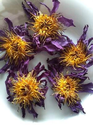 MARKENLOS Getrockneter Blauer Lotus ganze Blumen Nymphaea Caerulea Kräuter Bluelotus