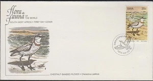 SOUTH WEST AFRICA BIRDS 431 Plover 1979 - Picture 1 of 1