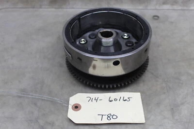 97-02 Kawasaki Prairie 400 OEM conjunto de rotor de volante 21007-1306 - Imagem 1 de 4