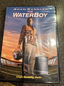 Waterboy, the DVD - Picture 1 of 2