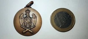 MEDAGLIA MILITARE-GRUPPO SPECIALISTI ARTIGLIERIA MANTOVA-C77-63 - Picture 1 of 1