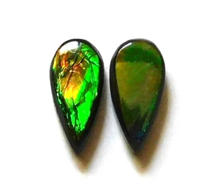 3.35 Cts Natural Ammolite (10.7mmx5mm each) Loose Cabochon Match Pair KD06 - Picture 1 of 4