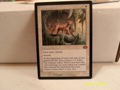 Mtg Ocelot pride retro art mint condition | eBay