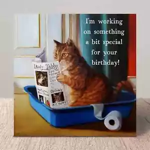 Something Special Funny Humorous Pun Cat Birthday Card Lucia Heffernan Art Cats - Picture 1 of 6
