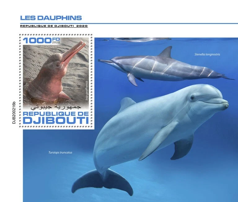 Djibouti Marine Animals Stamps 2020 MNH Dolphins Amazon River Dolphin 1v S/S - Image 1 of 1