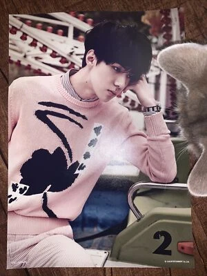 Exo SEHUN LARGE PRINT PHOTO 2016 SMTOWN - Image 1 of 4