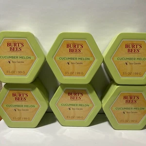 Burt's Bees Gurke Melone 2 Docht Dose Soja Kerze 8er Set 3,5oz EINGESTELLT  - Bild 1 von 23