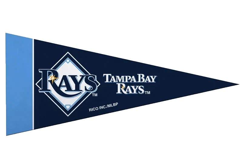 Tampa Bay Rays Mini Pennant 4”x9” MLB Baseball Felt Flag- NEW - Image 1 of 1