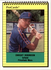 1991 Pittsfield Mets ProCards #3432 Dwight Robinson