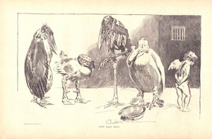 "SOME RARE BIRDS" Antique authentic Charles Dana Gibson print 1907