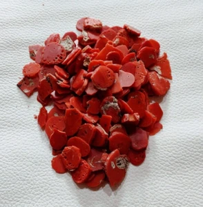 100% Natural Coral Rojo Piedras Preciosas Sueltas Ásperas Italia Coral Áspero Chip 50" Psc Un Lote - Imagen 1 de 3