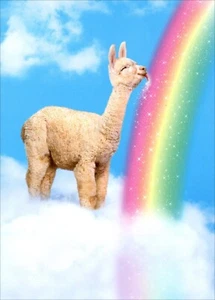 Funny ENCOURAGEMENT or GET WELL Card, Llama Licking Rainbow by Avanti + Envelope - Picture 1 of 5